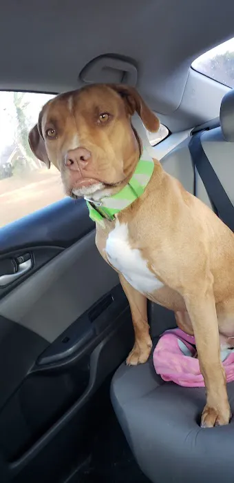 North Alabama Spay Neuter 12