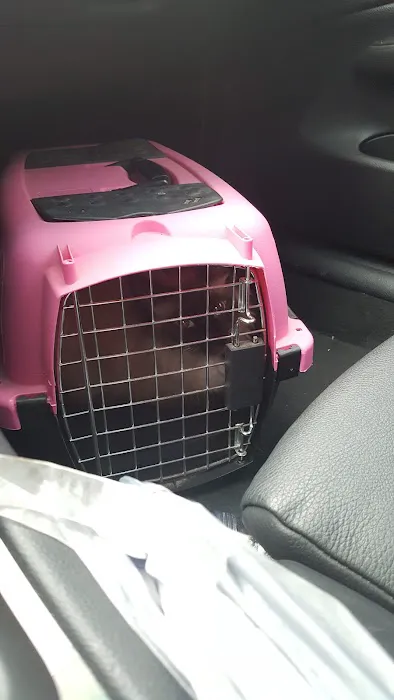 North Alabama Spay Neuter 12