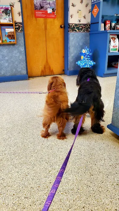 Northway Animal Hospital 12