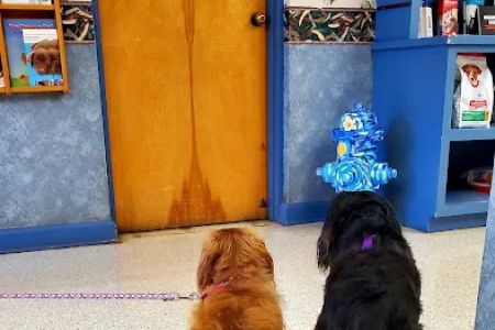 Northway Animal Hospital