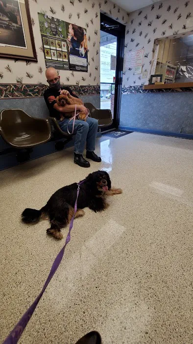 Northway Animal Hospital 12