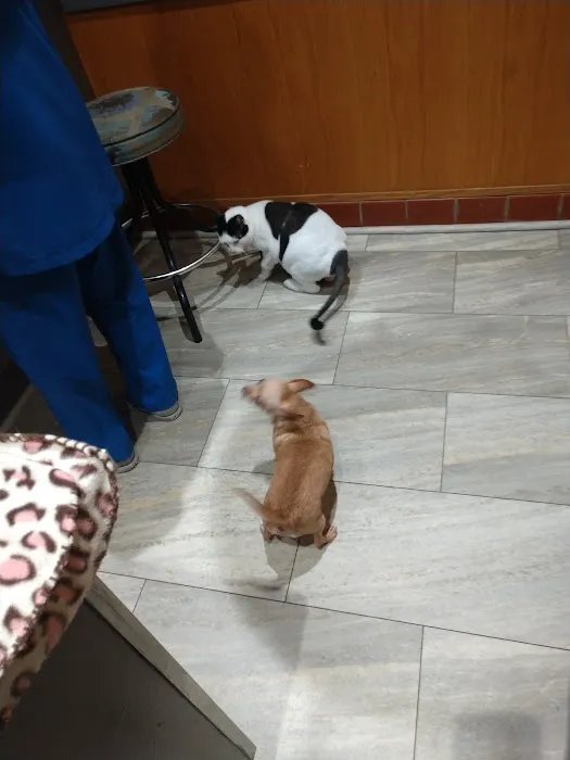 Huntsville Animal Clinic 12