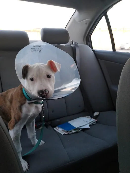 Huntsville Animal Clinic 12
