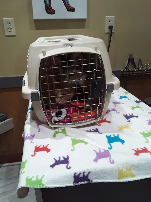 Huntsville Animal Clinic 12