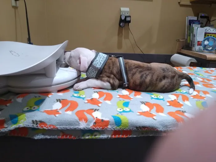 Huntsville Animal Clinic 12