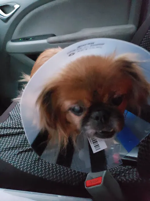 Huntsville Animal Clinic 12