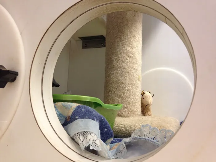 McCurdy Animal Hospital 12