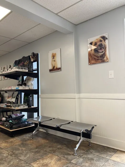 Huntsville Pet Vet 12