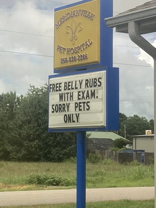 Meridianville Pet Hospital 7