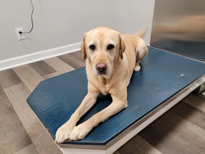 Animal Hospital of North Alabama, Paws & Claws Pet Lodge 12