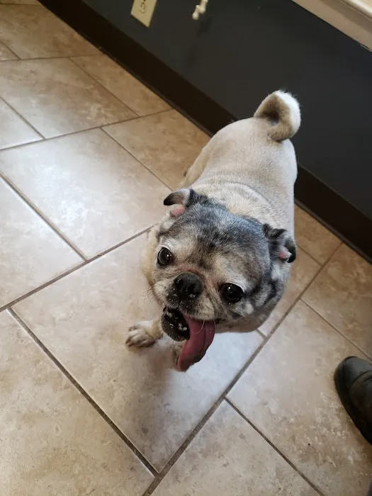 Animal Hospital of North Alabama, Paws & Claws Pet Lodge 12