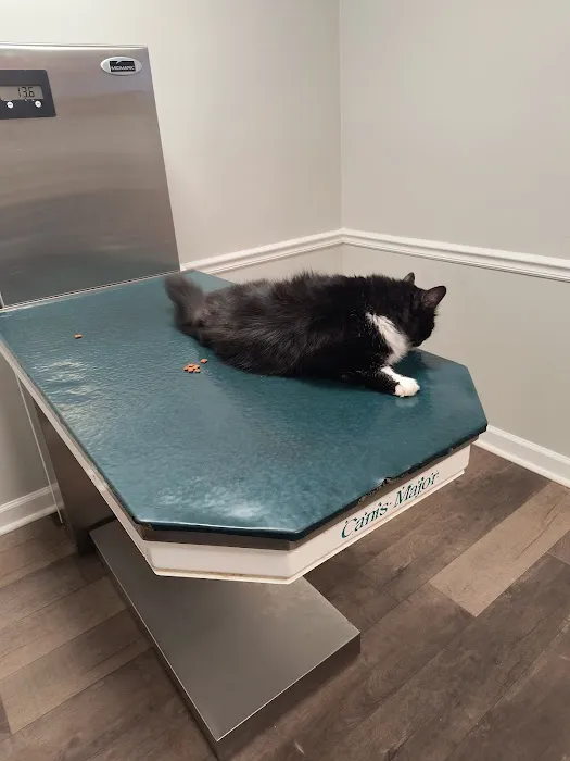 Animal Hospital of North Alabama, Paws & Claws Pet Lodge 12