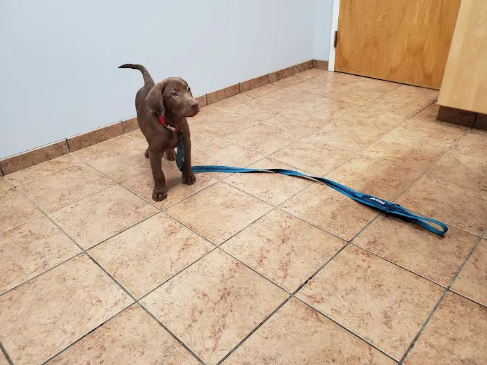Animal Clinic of Eagle Harbor 12
