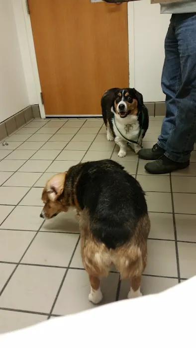 The Oaks Veterinary Clinic 12