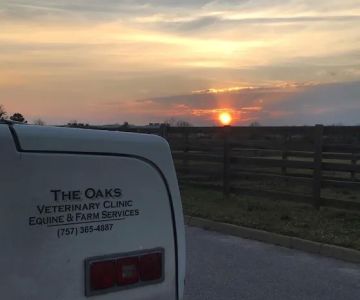 Oaks Veterinary Equine & Farm
