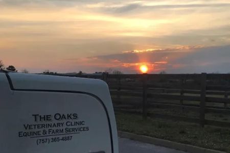 Oaks Veterinary Equine & Farm