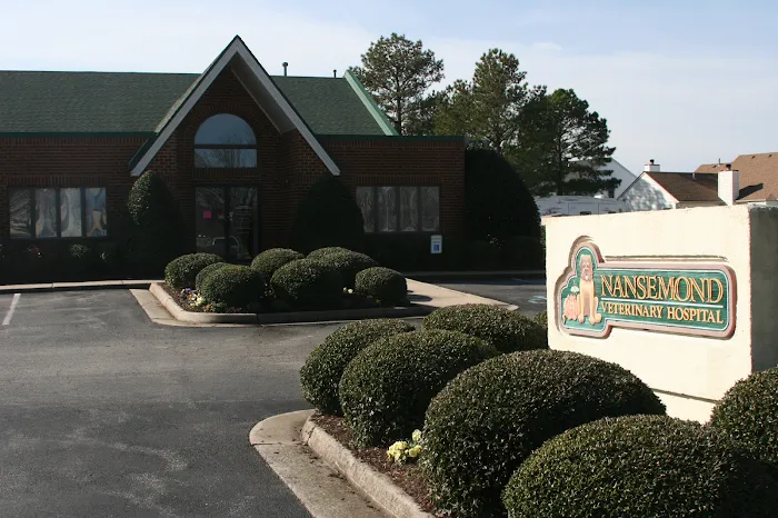 Nansemond Veterinary Clinic 12