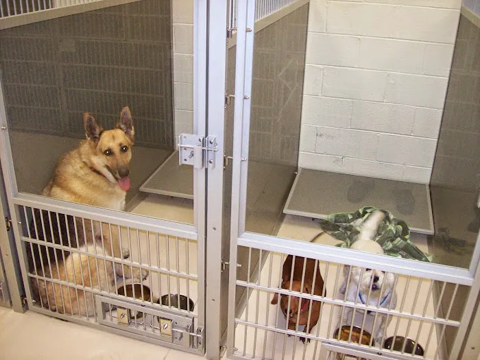 Edinburgh Animal Hospital 12