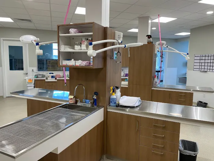 Edinburgh Animal Hospital 12