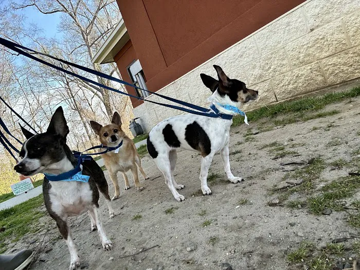 Centerville Animal Hospital 12