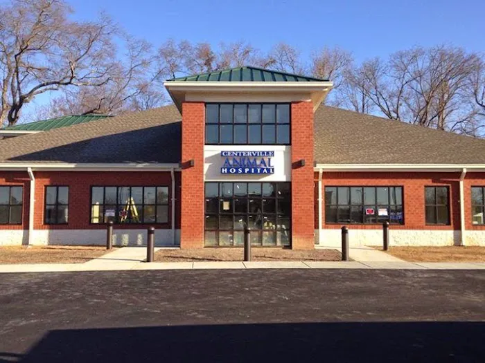 Centerville Animal Hospital 12