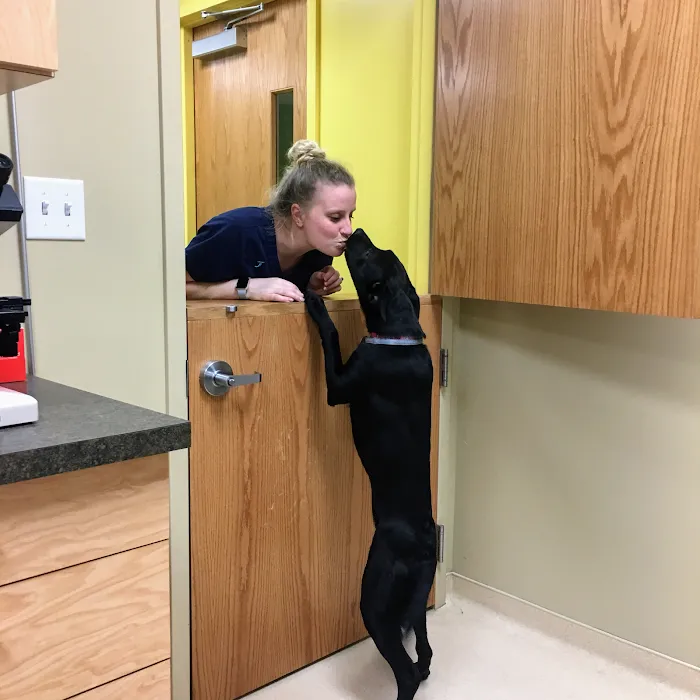 Centerville Animal Hospital 12