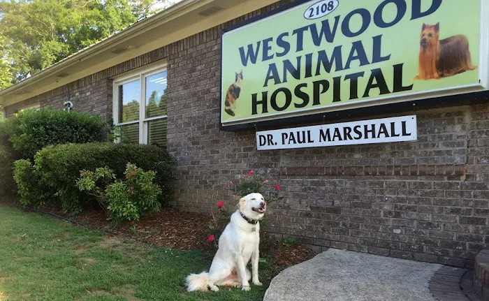Westwood Animal Hospital 12