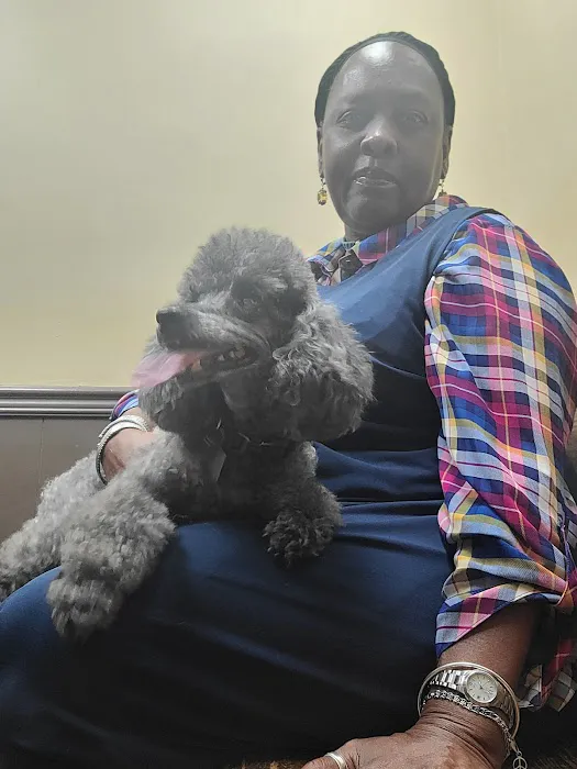 Westwood Animal Hospital 12