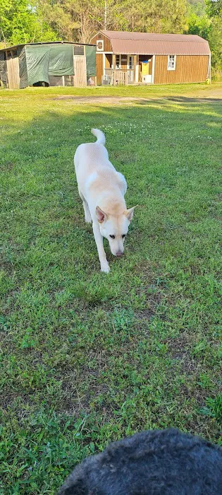 Westwood Animal Hospital 12