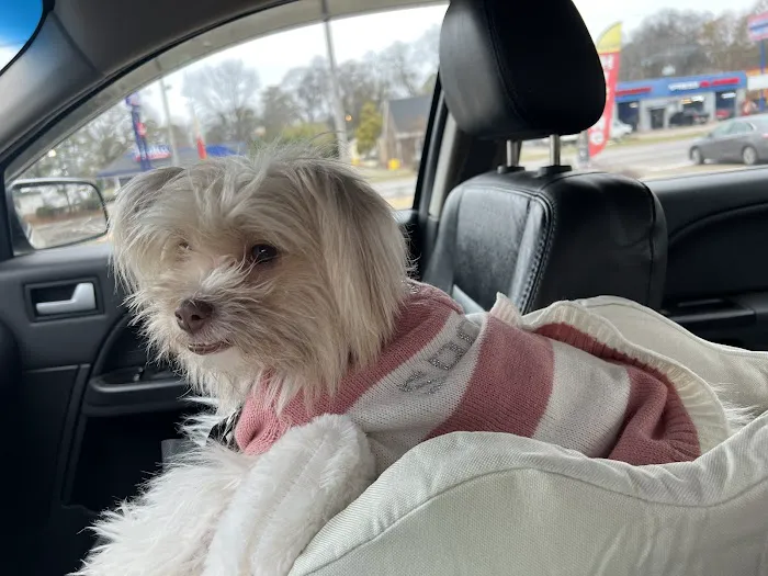 Westwood Animal Hospital: Marshall Paul DVM 12