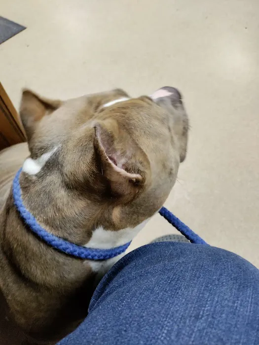 Westwood Animal Hospital: Marshall Paul DVM 12