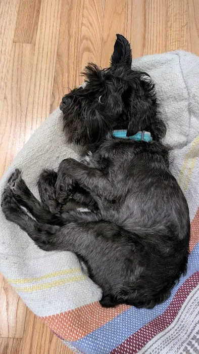 Westwood Animal Hospital: Marshall Paul DVM 12