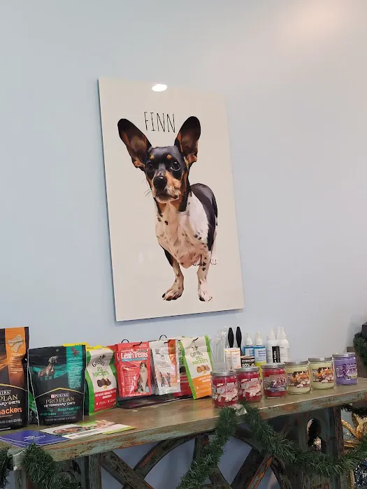 Mercy Animal Hospital 12