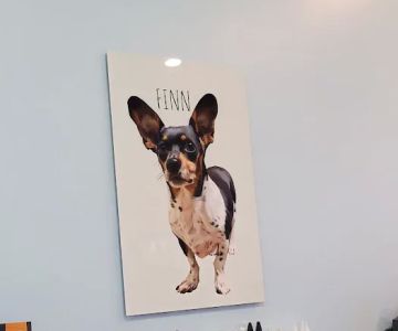 Mercy Animal Hospital