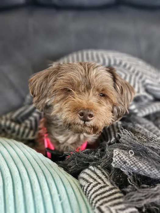 Mercy Animal Hospital: Mc Kim Brandon DVM 12