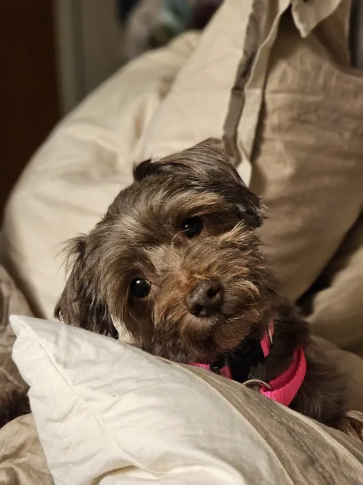 Mercy Animal Hospital: Mc Kim Brandon DVM 12