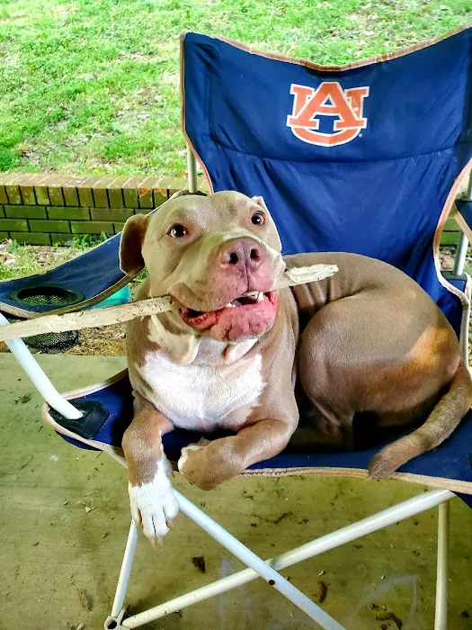 Mercy Animal Hospital: Mc Kim Brandon DVM 12