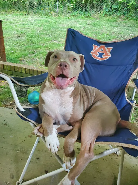 Mercy Animal Hospital: Mc Kim Brandon DVM 12