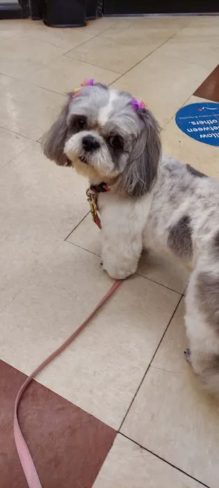 Banfield Pet Hospital 12