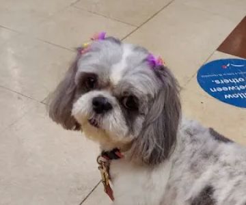 Banfield Pet Hospital
