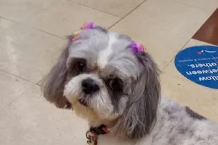 Banfield Pet Hospital