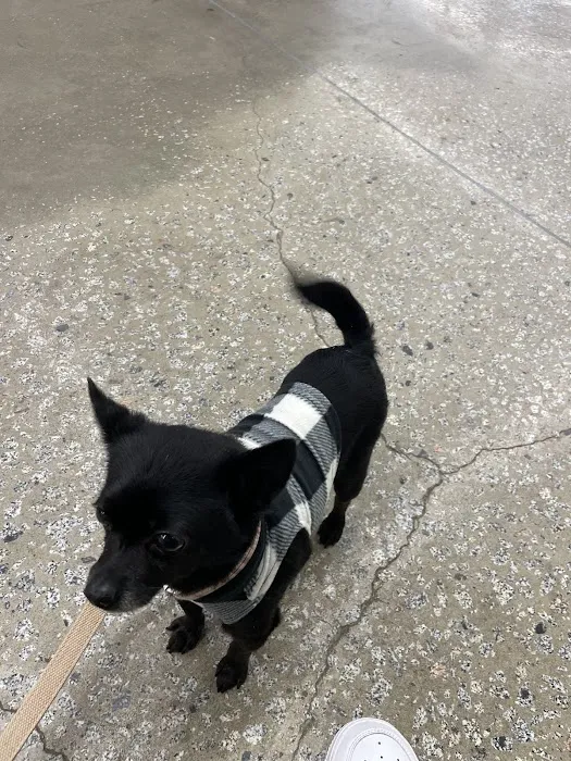 Banfield Pet Hospital 12