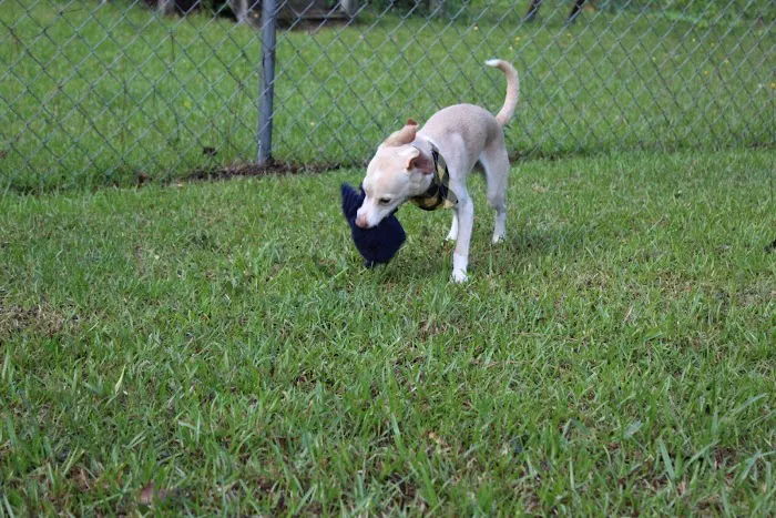 Banfield Pet Hospital 12
