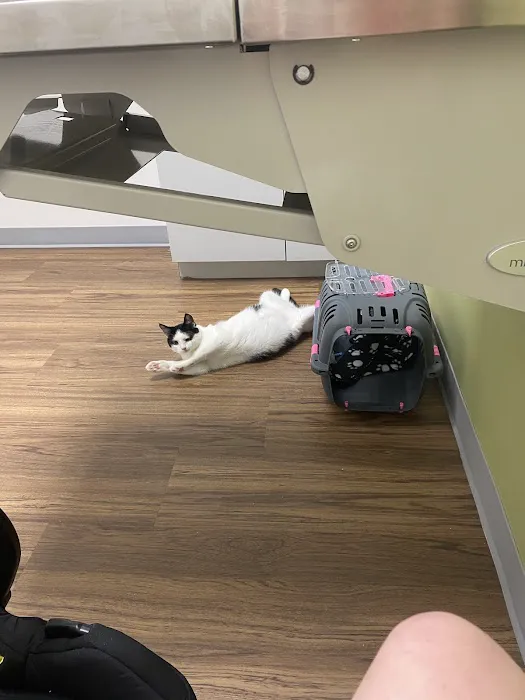 Creature Comforts Veterinary Hospital 12