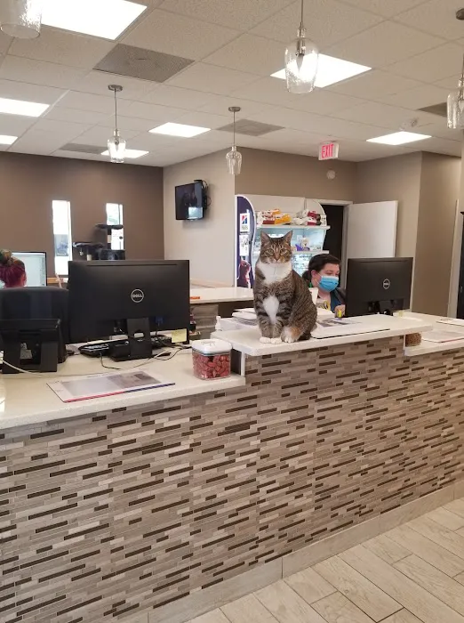 Two Notch Road Animal Clinic 12
