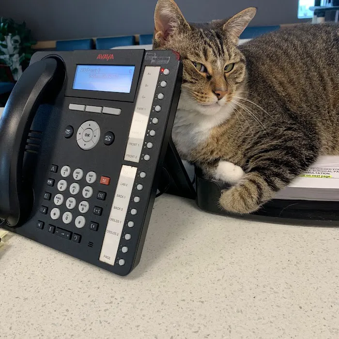 Two Notch Road Animal Clinic 12