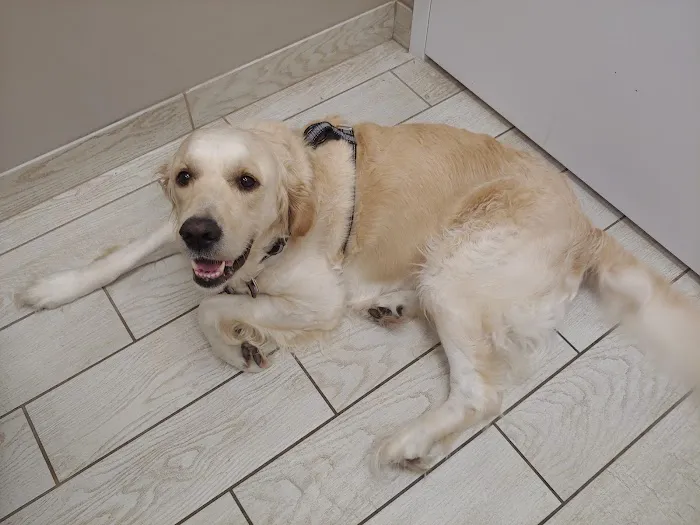 Two Notch Road Animal Clinic 12