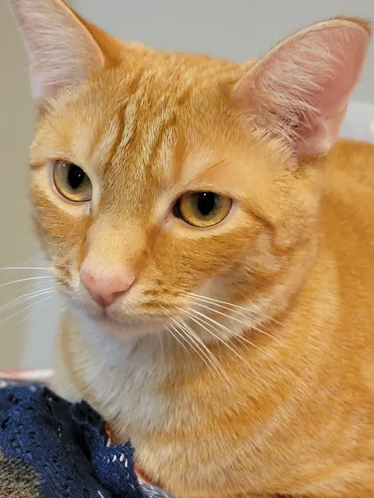 Spears Creek Veterinary Clinic 12
