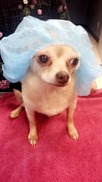 Spears Creek Veterinary Clinic 12