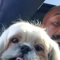 Blythewood Animal Hospital ico